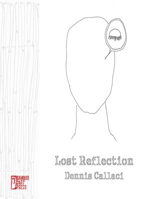 cover image of Lost Reflection